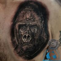 bete-humaine-studio-tatouage-paris-tattoo-singe-gorille-orang-outan