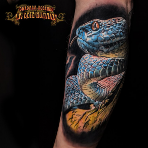 Vipère bleue tatouée par Barbara Rosendo
