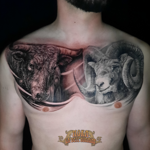 Moka, tatoueur à Paris - Duo de ruminants réalistes tatoués sur les pectoraux