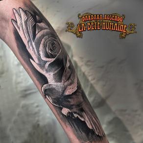 Tatouage de colombe et de rose réalisé par Barbara Rosendo