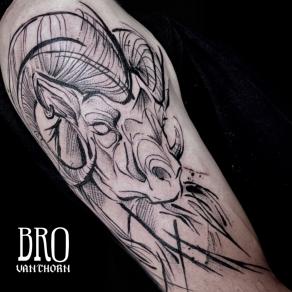 Tête de bélier en style sketchy tatouée par Bro Vanthorn
