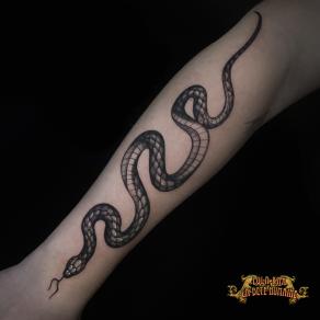 Lola Kaa, tatoueuse à Paris - Serpent tatoué en noir et gris sur l’avant-bras