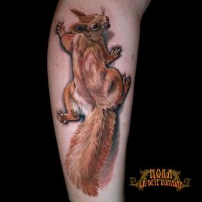 Moka, tatoueur à Paris - Tatouage d’un écureuil roux réaliste
