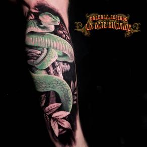 Barbara Rosendo, tatoueuse à Paris - Serpent réaliste aux reflets d’émeraude