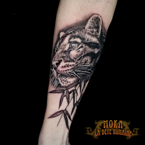 Tête réaliste de jeune tigre tatouée par Moka