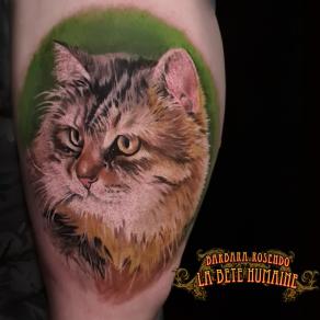 Barbara Rosendo, tatoueuse à Paris - Portrait de chat en couleurs sur fond vert