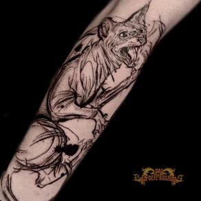Bro Vanthorn, tatoueur à Paris - Chat sphynx tatoué façon sketchy