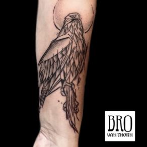 Bro Vanthorn, tatoueur à Paris - Aigle graphique sur son perchoir
