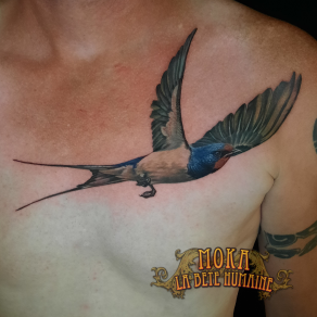 Moka, tatoueur à Paris - Hirondelle bicolore aux ailes déployées tatouée sur le torse