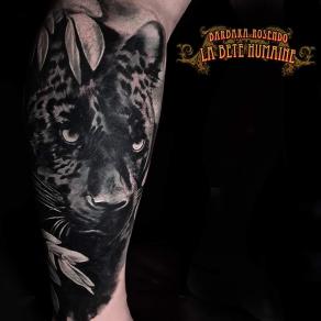 Panthère noire réaliste tatouée par Barbara Rosendo