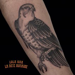 Faucon pèlerin tatoué en noir et gris par Lola Kaa