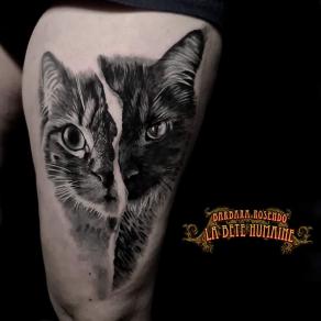 Barbara Rosendo, tatoueuse à Paris - Double portrait réaliste de chats