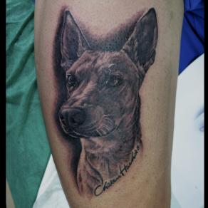 Moka_guest_tattoo_portrait_chien