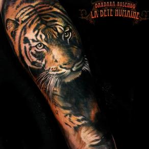 meilleure-tatoueuse-paris-barbara-rosendo-tatouage-tattoo-tigre-couleurs