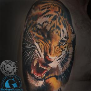 meilleure-tatoueuse-paris-barbara-rosendo-tatouage-tigre-tattoo