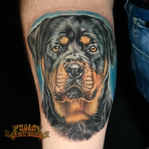 moka-tatoueur-paris-realiste-style-realisme-tatouage-tattoo-rottweiler