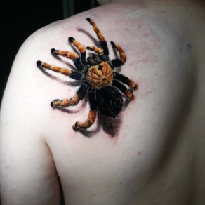 tatoueur-guest-paris-moka-tatouage-mygale-araignee-omoplate-tattoo