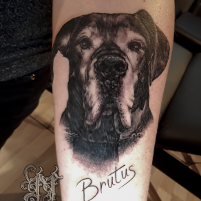 tatoueur-guest-paris-moka-tatouage-portrait-realiste-chien-tattoo